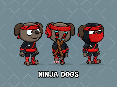 Ninja dog 