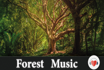 Forest Background Music 