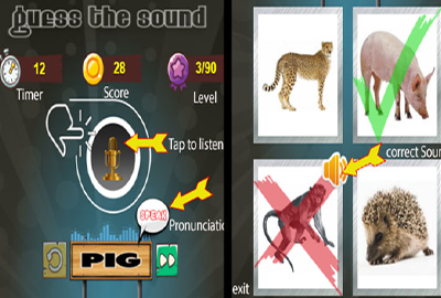 C2/C3 Guess The Sound : Animal Quiz 