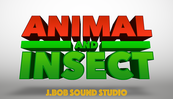 ANIMAL and INSECT 