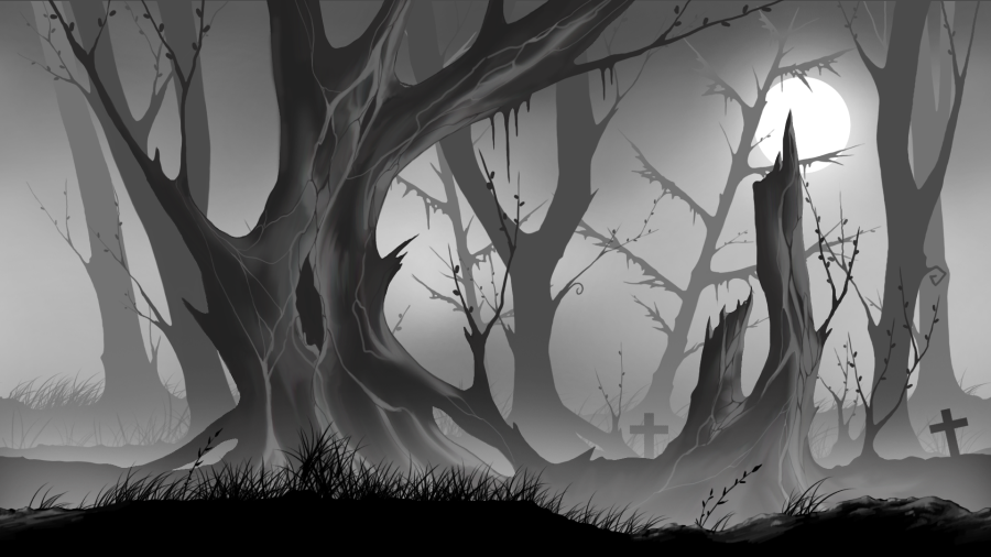 Dark forest background 