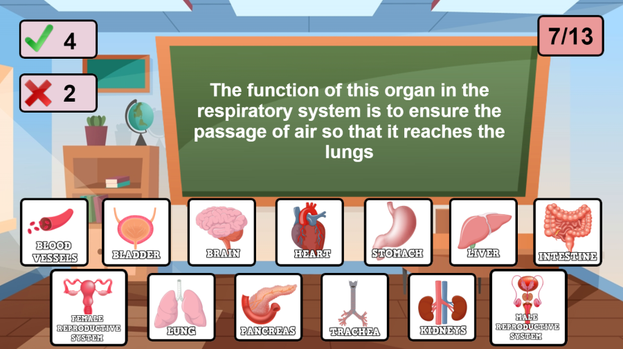 What Organ Is This? Quiz Game 