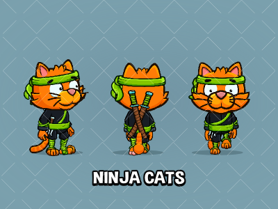 Ninja character 