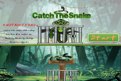 Catch The Snake 