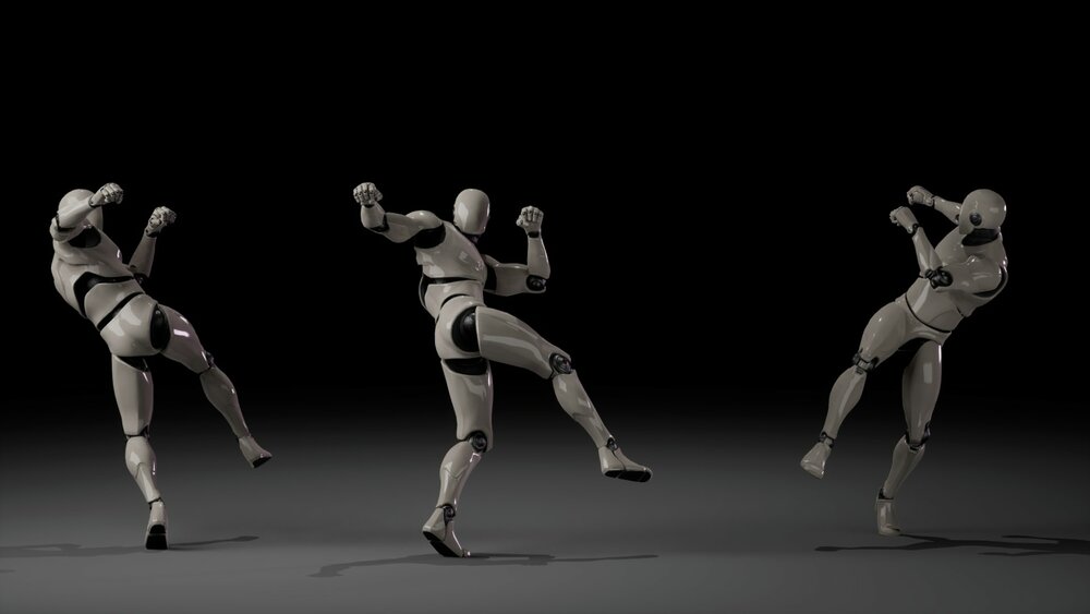 Combat animations - Kickboxing and Muay Thai V2 