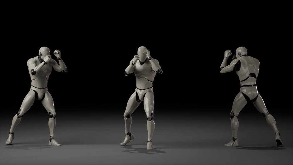 Combat animations - Kickboxing and Muay Thai V2 