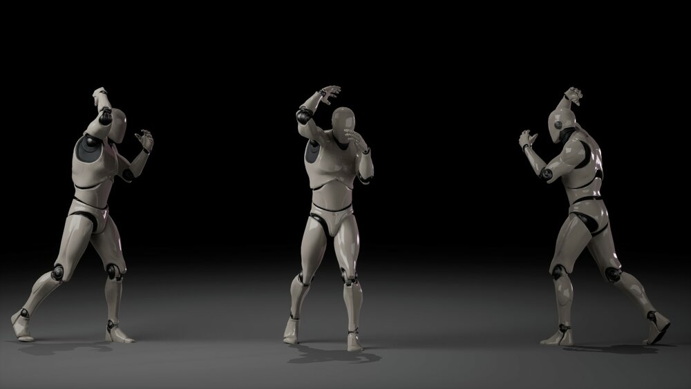 Combat animations - Kickboxing and Muay Thai V2 