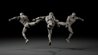 Combat animations - Kickboxing and Muay Thai V2 