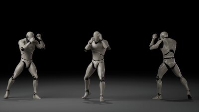 Combat animations - Kickboxing and Muay Thai V2 