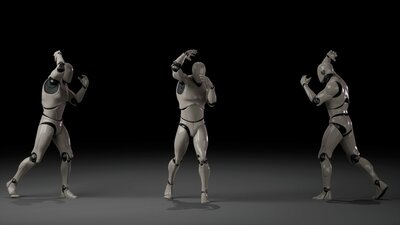 Combat animations - Kickboxing and Muay Thai V2 