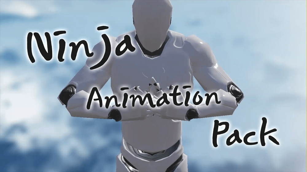 Ninja Animation Pack 