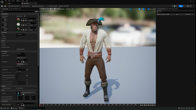 Stylized Pirate 3 