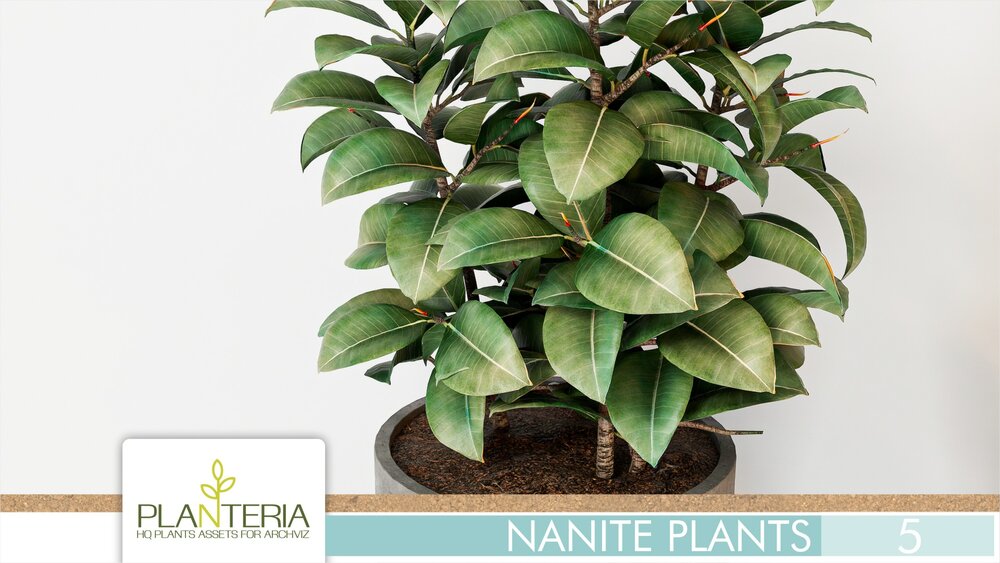 Nanite Plants Vol. 5 