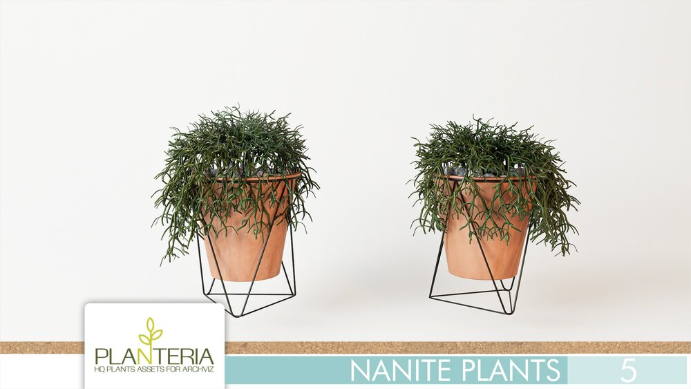 Nanite Plants Vol. 5 