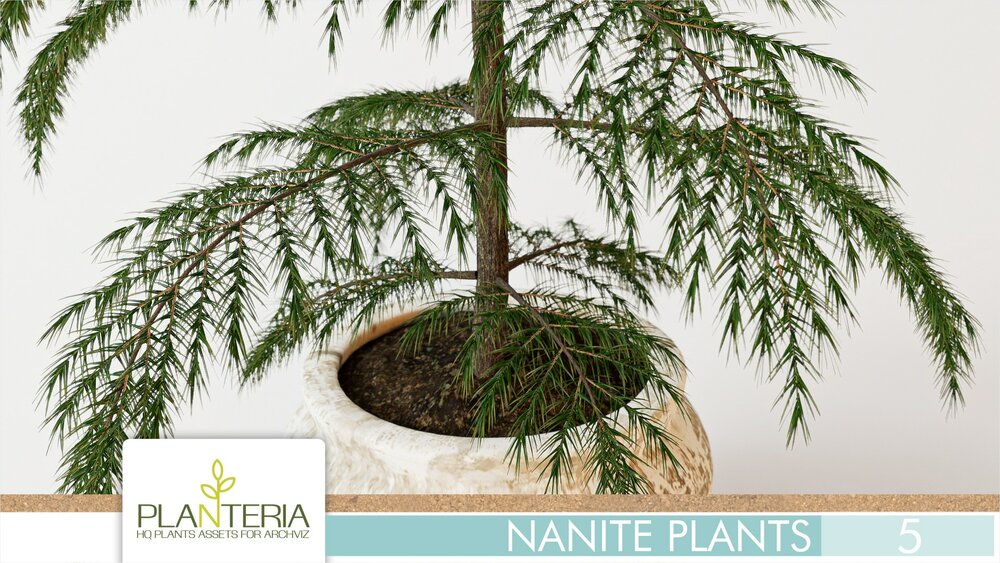 Nanite Plants Vol. 5 