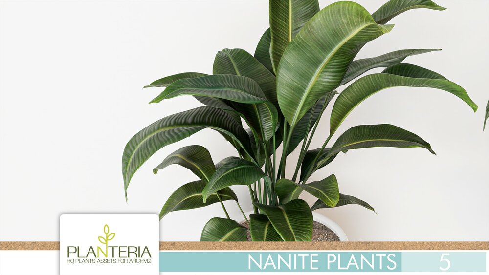 Nanite Plants Vol. 5 