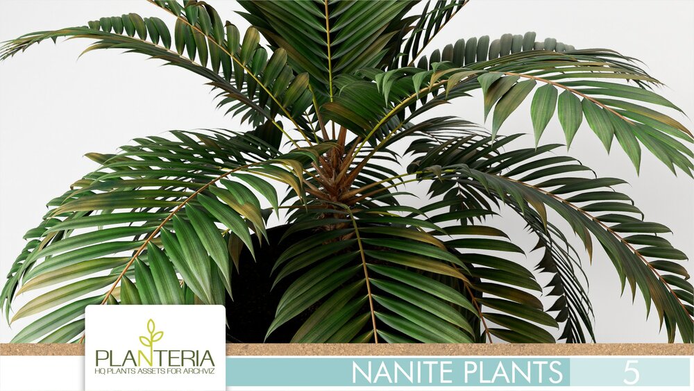 Nanite Plants Vol. 5 