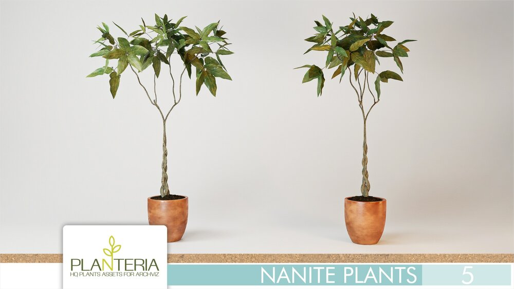 Nanite Plants Vol. 5 