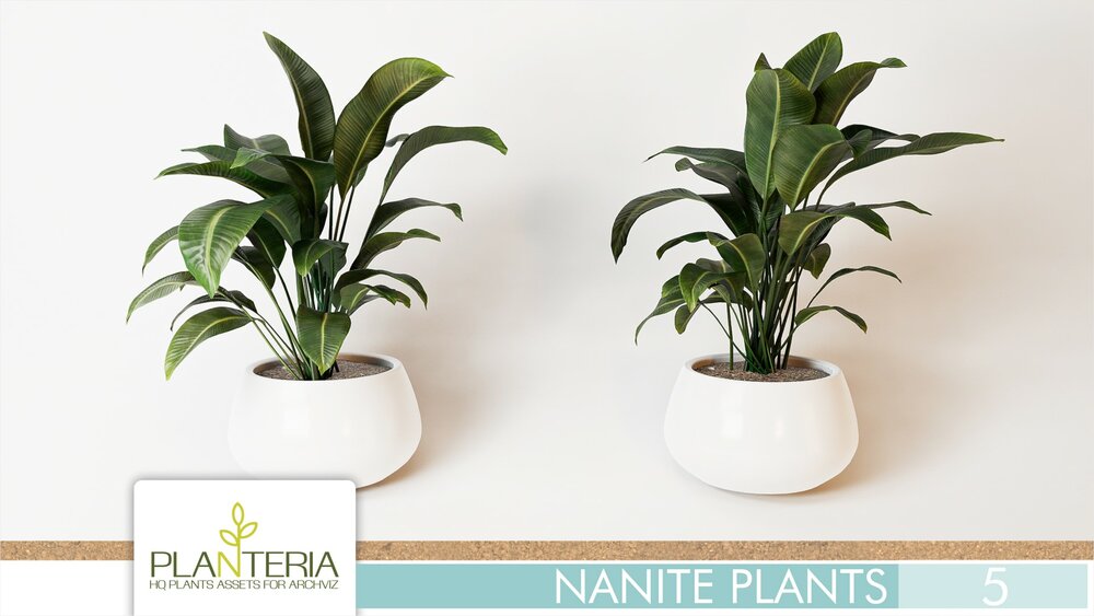 Nanite Plants Vol. 5 