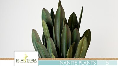 Nanite Plants Vol. 5 