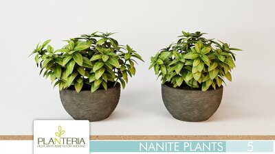 Nanite Plants Vol. 5 