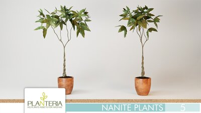 Nanite Plants Vol. 5 