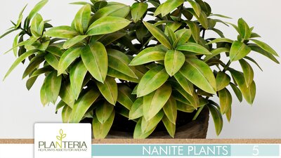 Nanite Plants Vol. 5 