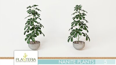 Nanite Plants Vol. 5 