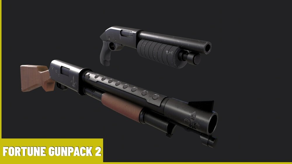 FortuneGun_Pack2 