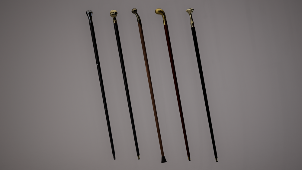 Walking sticks pack 