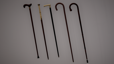 Walking sticks pack 