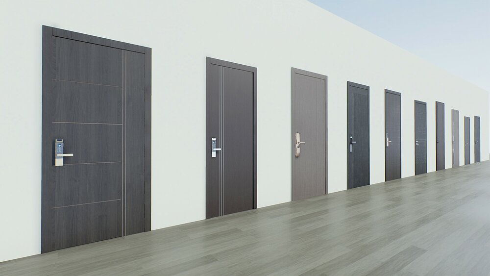 Interactive Modern Door 