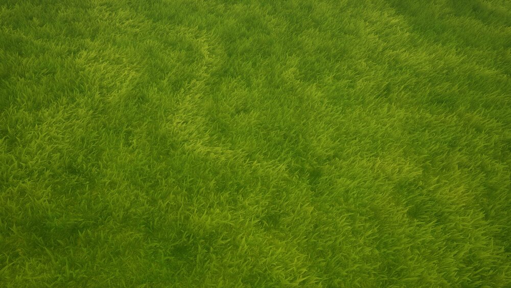 Stylized Grass Starter Pack 