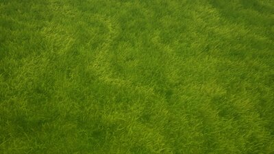 Stylized Grass Starter Pack 