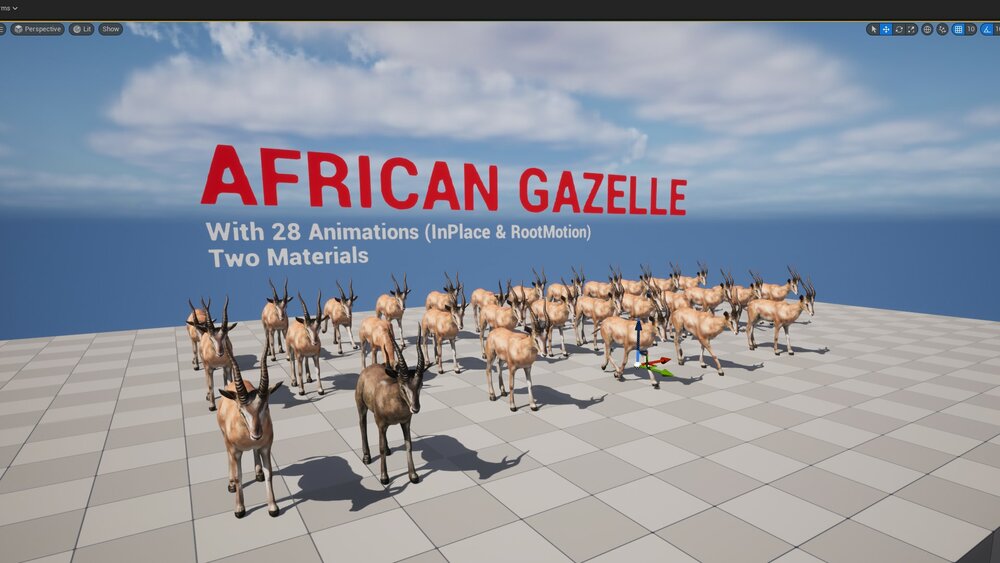 African_Gazelle 