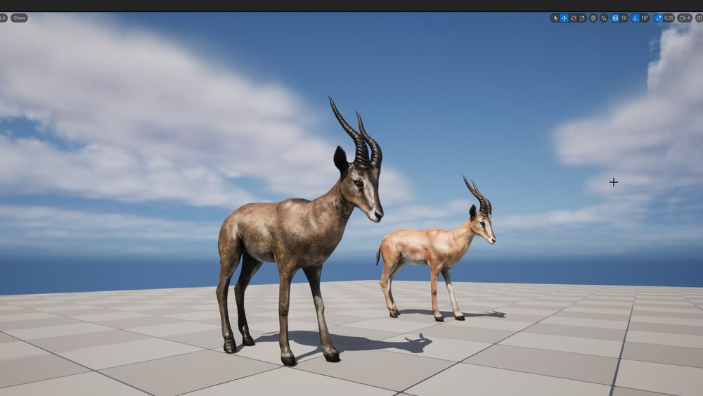 African_Gazelle 