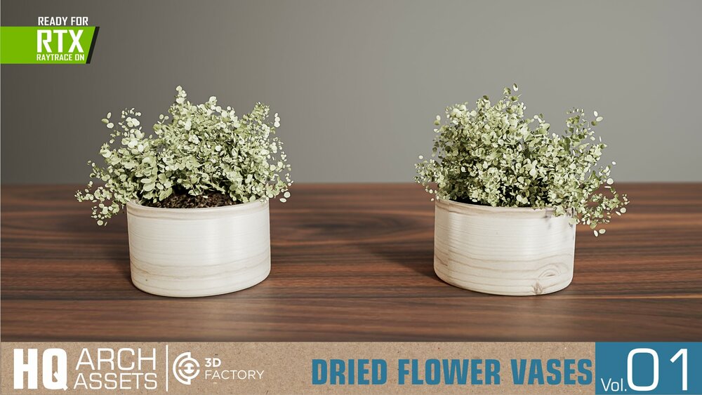 HQ Dried Flower Vases Vol. 1 