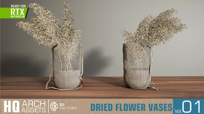 HQ Dried Flower Vases Vol. 1 