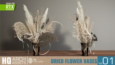 HQ Dried Flower Vases Vol. 1 