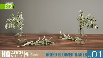 HQ Dried Flower Vases Vol. 1 