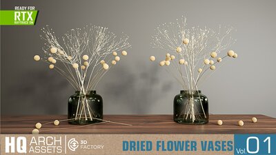 HQ Dried Flower Vases Vol. 1 