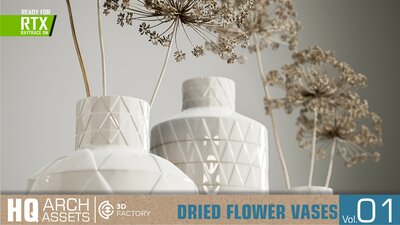 HQ Dried Flower Vases Vol. 1 