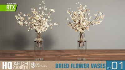 HQ Dried Flower Vases Vol. 1 