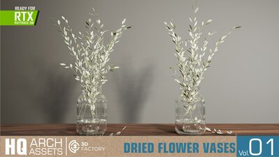 HQ Dried Flower Vases Vol. 1 