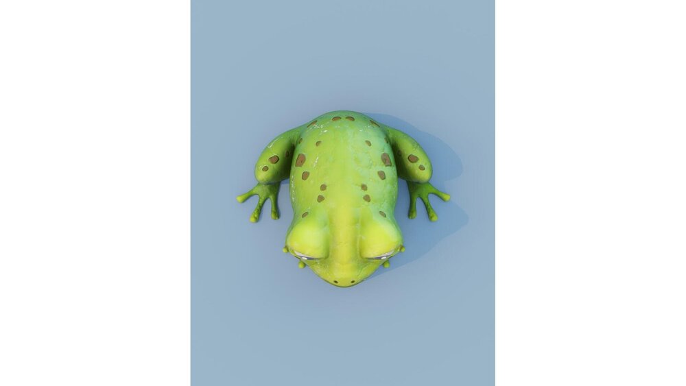 Cartoon Frog Animated 3D Model 