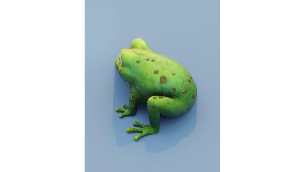 Cartoon Frog Animated 3D Model 