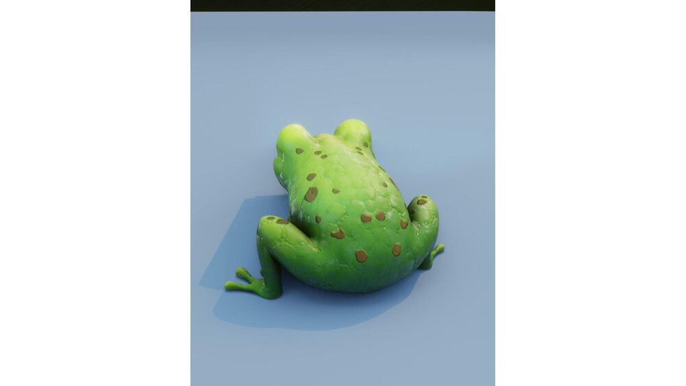 Cartoon Frog Animated 3D Model 