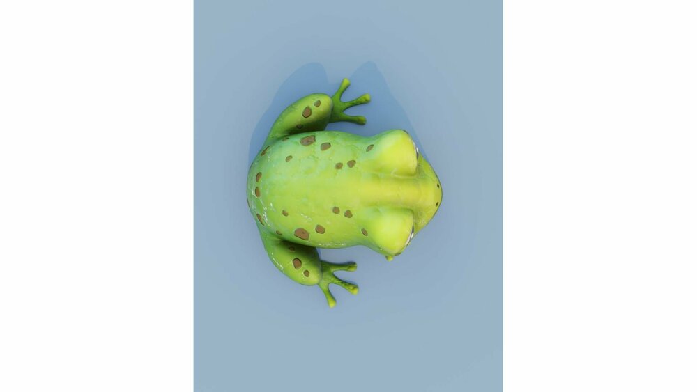 Cartoon Frog Animated 3D Model 