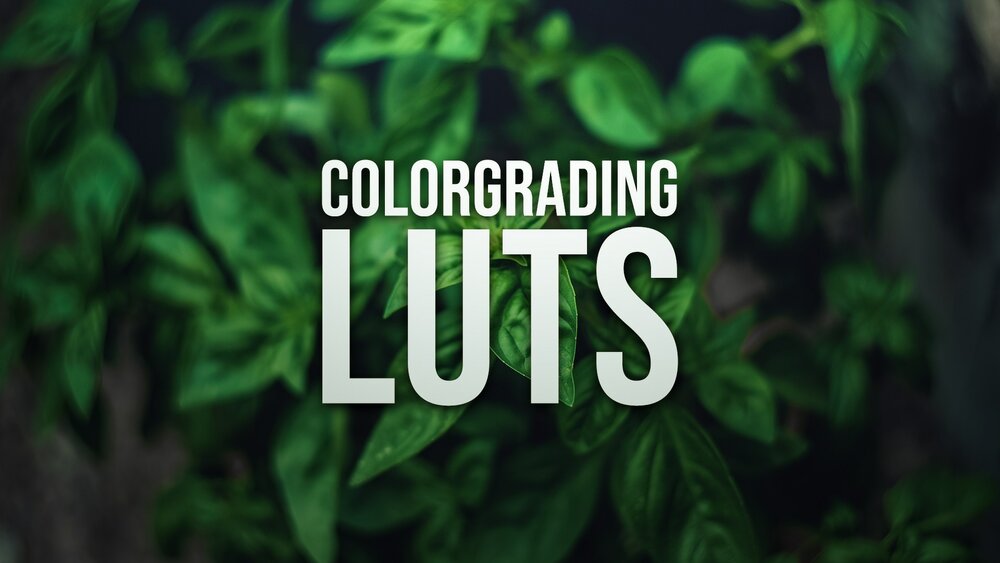 Color Grading 455+ LUTs 