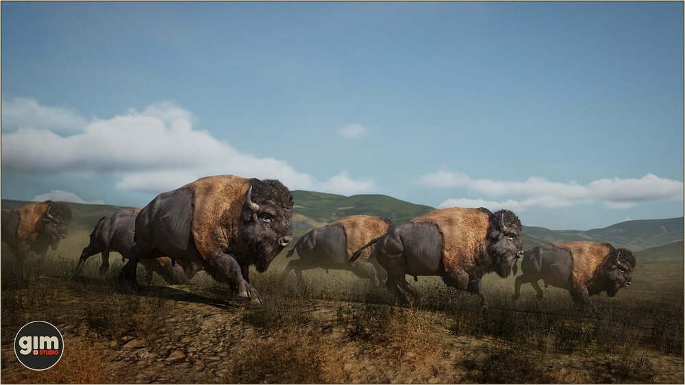 Animalia - American Bison (pack) 